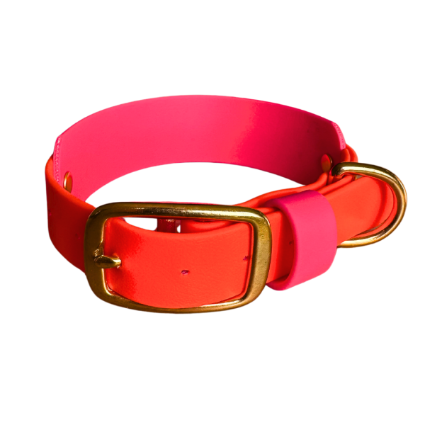 orange neon pink.png